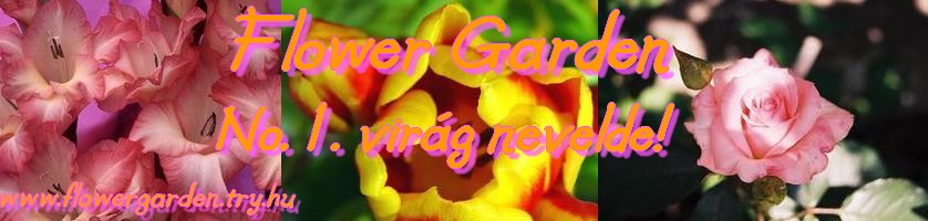 *~Flower Garden~* Nevelgesd virgodat!
